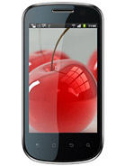 Best available price of Celkon A19 in African