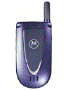 Best available price of Motorola V66i in African
